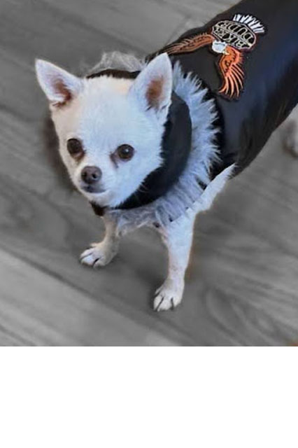 Team Member 3